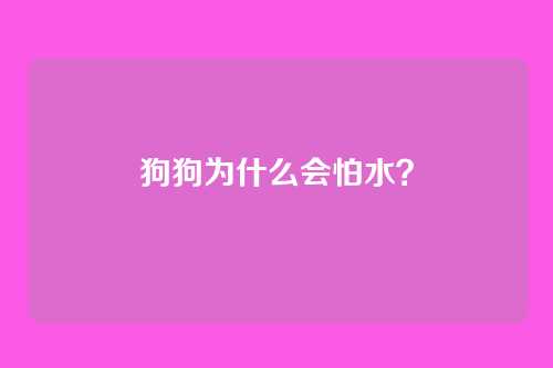 狗狗为什么会怕水？