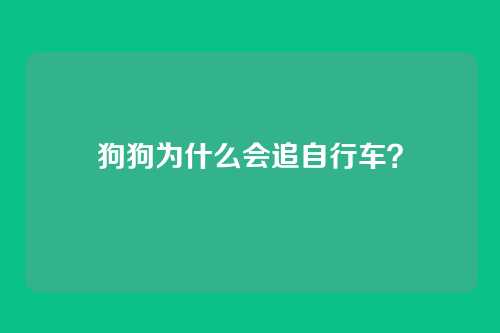 狗狗为什么会追自行车？