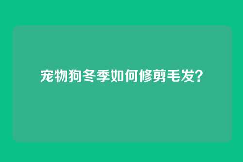 宠物狗冬季如何修剪毛发？
