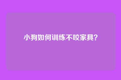 小狗如何训练不咬家具？