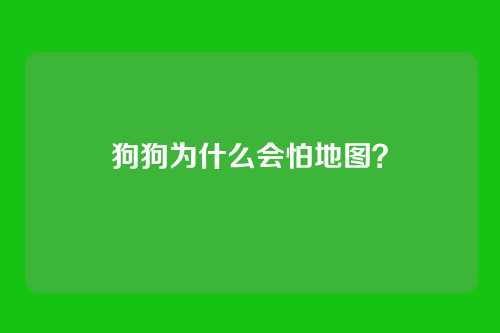 狗狗为什么会怕地图？
