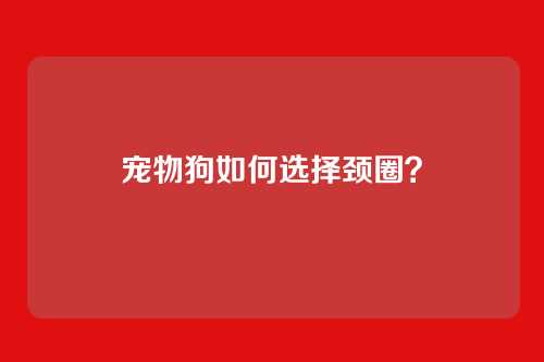 宠物狗如何选择颈圈？