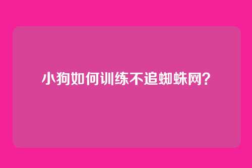 小狗如何训练不追蜘蛛网?