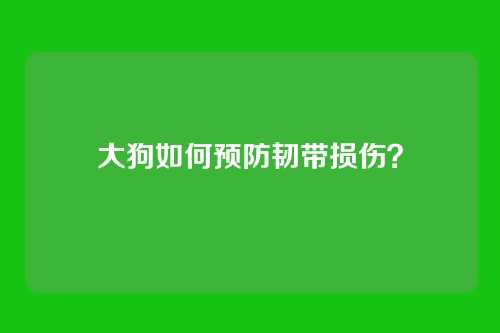 大狗如何预防韧带损伤?