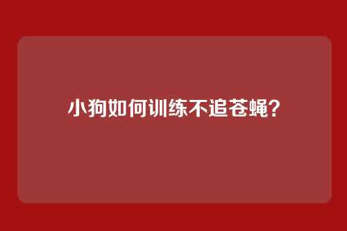 小狗如何训练不追苍蝇？