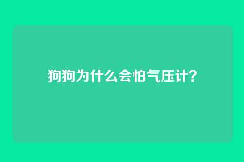 狗狗为什么会怕气压计？