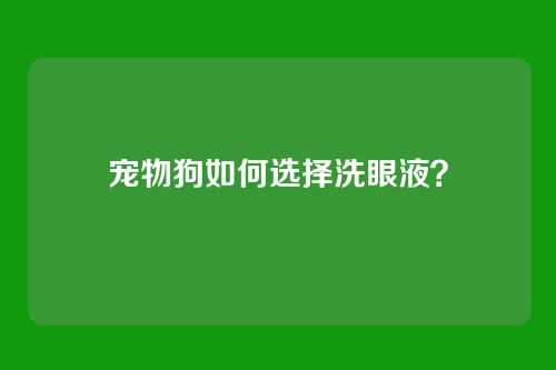 宠物狗如何选择洗眼液?