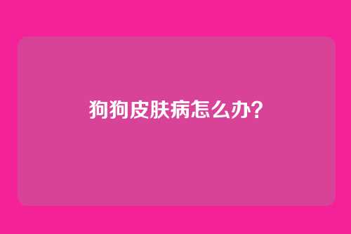 狗狗皮肤病怎么办？