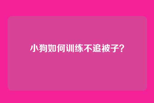 小狗如何训练不追被子？