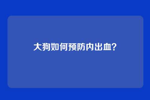 大狗如何预防内出血？