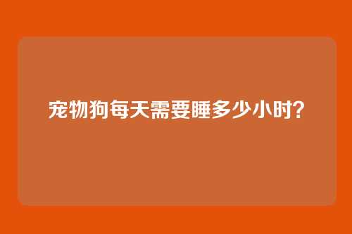 宠物狗每天需要睡多少小时?