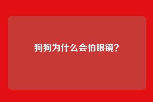 狗狗为什么会怕眼镜?