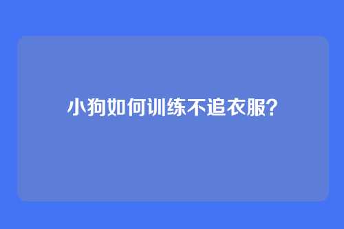 小狗如何训练不追衣服？
