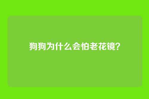 狗狗为什么会怕老花镜?
