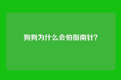 狗狗为什么会怕指南针?