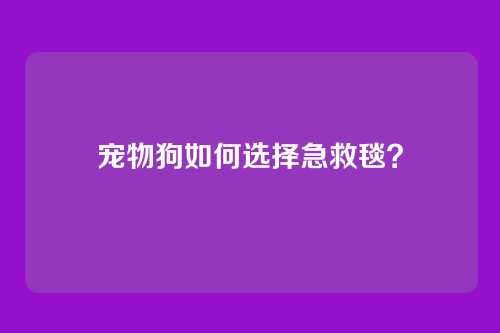宠物狗如何选择急救毯?