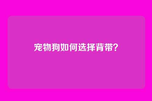 宠物狗如何选择背带?