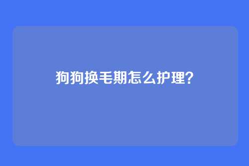 狗狗换毛期怎么护理?
