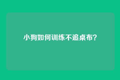 小狗如何训练不追桌布?