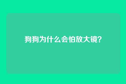 狗狗为什么会怕放大镜？