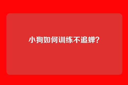小狗如何训练不追蝉？
