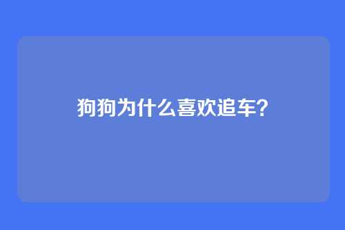 狗狗为什么喜欢追车？