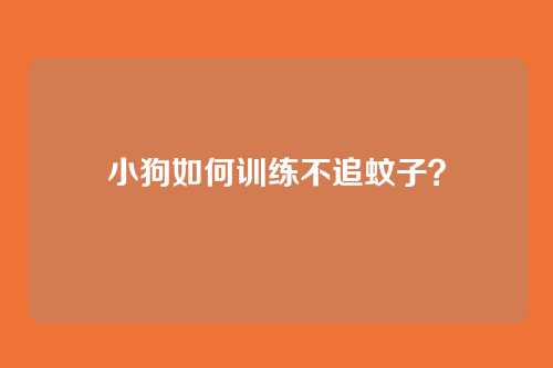 小狗如何训练不追蚊子？