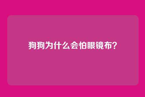 狗狗为什么会怕眼镜布？