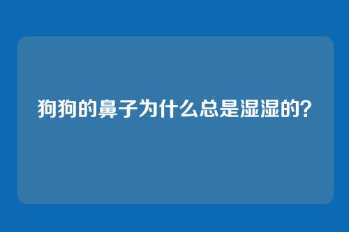 狗狗的鼻子为什么总是湿湿的？