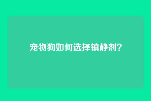 宠物狗如何选择镇静剂？