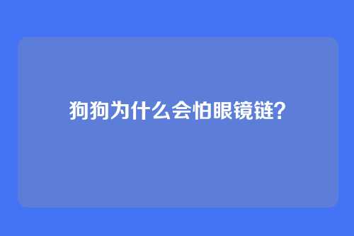 狗狗为什么会怕眼镜链?