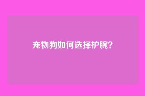 宠物狗如何选择护腕？