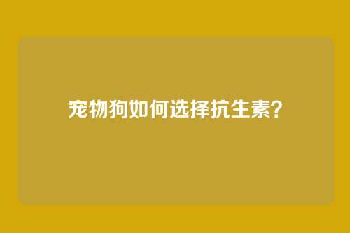 宠物狗如何选择抗生素？