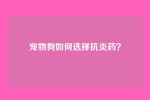 宠物狗如何选择抗炎药?