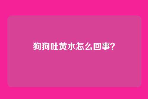 狗狗吐黄水怎么回事？