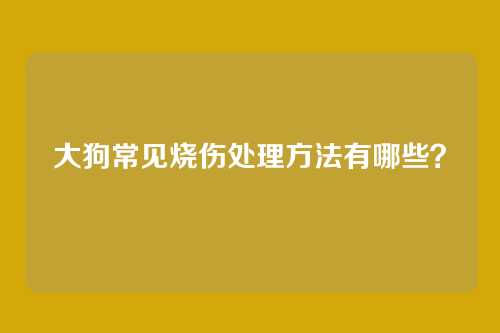 大狗常见烧伤处理方法有哪些？