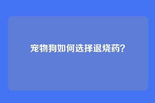 宠物狗如何选择退烧药？