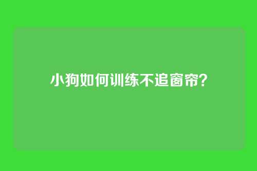 小狗如何训练不追窗帘?