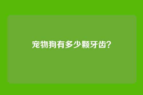 宠物狗有多少颗牙齿？
