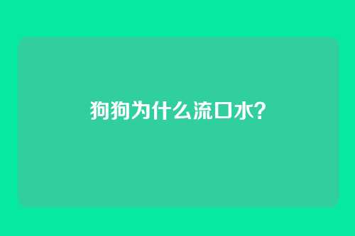 狗狗为什么流口水？
