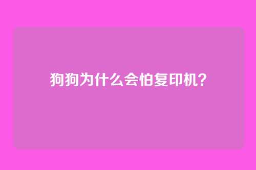 狗狗为什么会怕复印机？