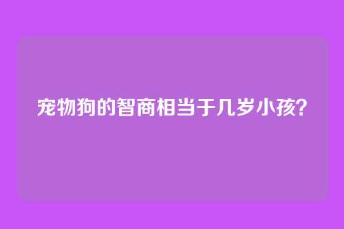 宠物狗的智商相当于几岁小孩？