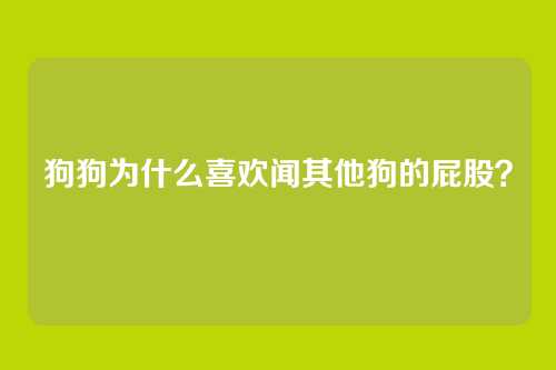 狗狗为什么喜欢闻其他狗的屁股？