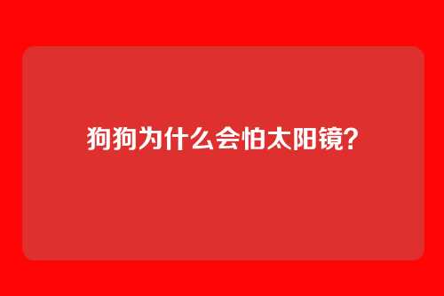 狗狗为什么会怕太阳镜？