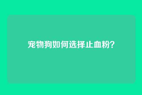 宠物狗如何选择止血粉?