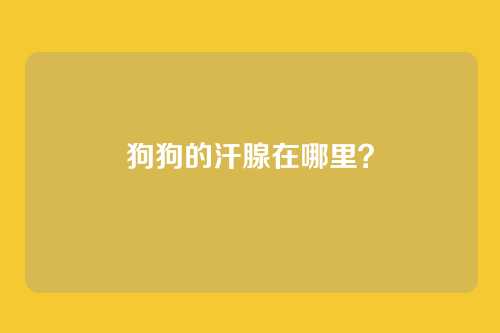 狗狗的汗腺在哪里?