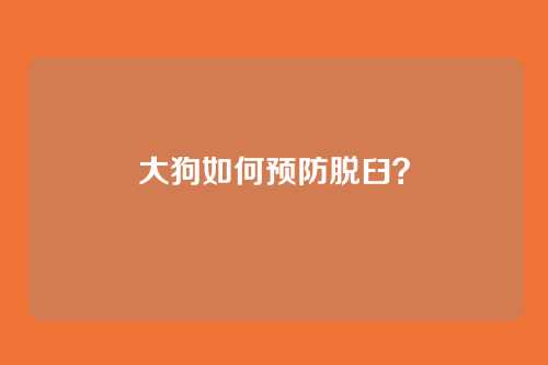 大狗如何预防脱臼?