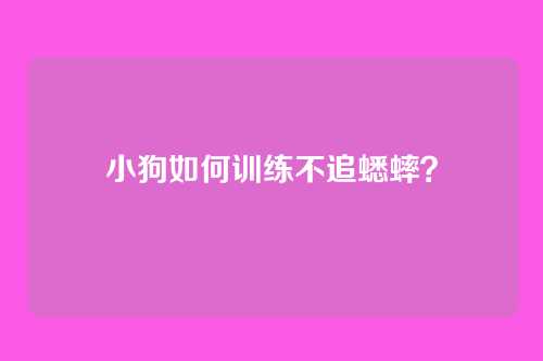 小狗如何训练不追蟋蟀？
