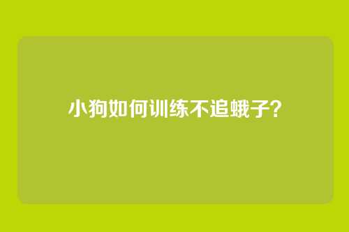 小狗如何训练不追蛾子？