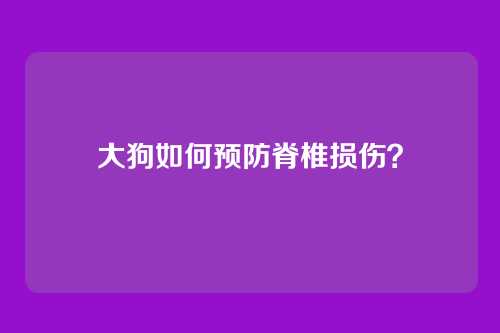 大狗如何预防脊椎损伤?